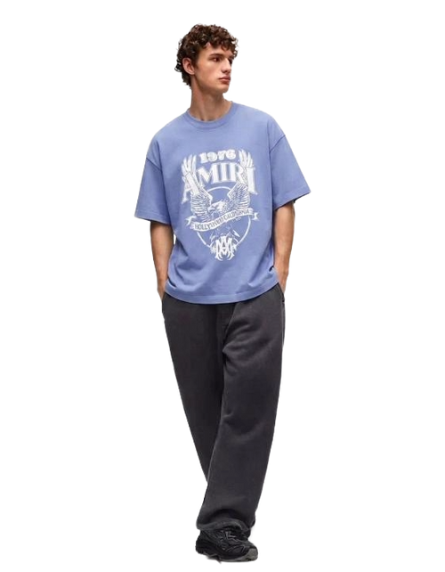Amiri 1976 Eagle Oversized T-Shirt